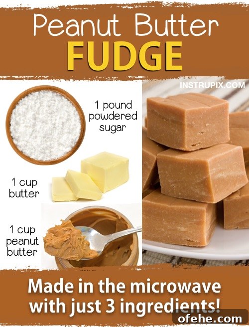 3-Ingredient Microwave Peanut Butter Fudge Recipe 11 img 1394 10