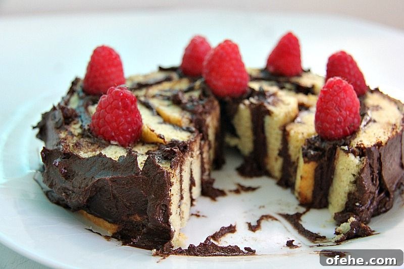 How to Make a Perfect Spiral Cake: Step-by-Step Recipe and Tips 2 spiral cake
