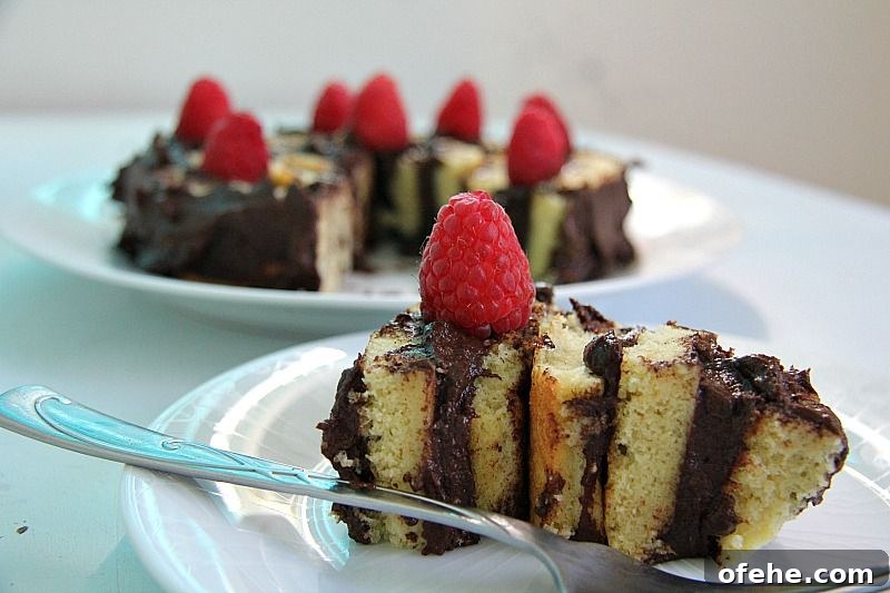 How to Make a Perfect Spiral Cake: Step-by-Step Recipe and Tips 4 spiral cake