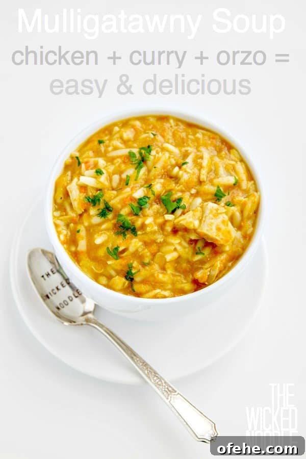 Classic Chicken Mulligatawny Soup Recipe for Comforting Flavor 2 Mulligatawny Soup - this easy version is basically chicken noodle soup with the exotic flavor of curry . It's warm, delicious and filling!