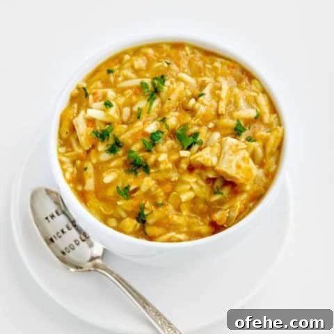 Mulligatawny Soup - this easy version is basically chicken noodle soup with the exotic flavor of curry . It's warm, delicious and filling!