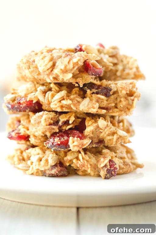 Having dessert for breakfast is possible with these delicious and healthy breakfast cookies made with whole grain oats, mashed potatoes, dried fruits, and seeds | #AD | @sinfulnutrition | #sinfulnutrition | #breakfastcookie | #veganrecipe | #glutenfree | #vegetarian | #healthybreakfast | #allergenfree