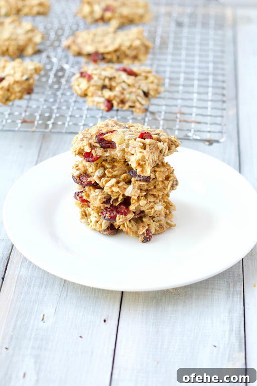 Having dessert for breakfast is possible with this delicious and easy potato breakfast cookie recipe made with whole grain oats, mashed potatoes, dried fruits, and seeds | #AD | @sinfulnutrition | #sinfulnutrition | #breakfastcookie | #veganrecipe | #glutenfree | #vegetarian | #breakfastrecipe | #allergenfree