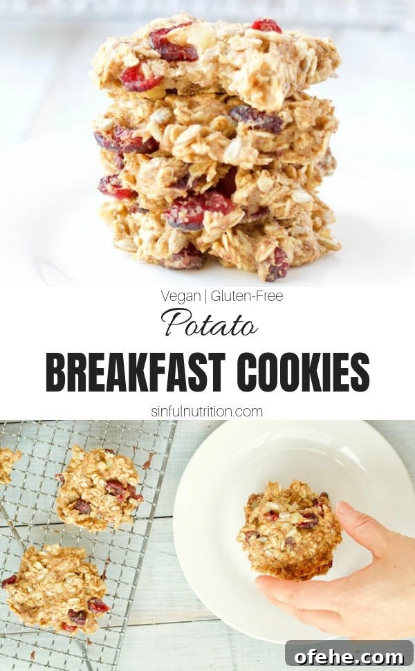 Having dessert for breakfast is possible with these delicious and healthy breakfast cookies made with whole grain oats, mashed potatoes, dried fruits, and seeds | #AD | @sinfulnutrition | #sinfulnutrition | #breakfastcookie | #veganrecipe | #glutenfree | #vegetarian | #healthybreakfast | #allergenfree