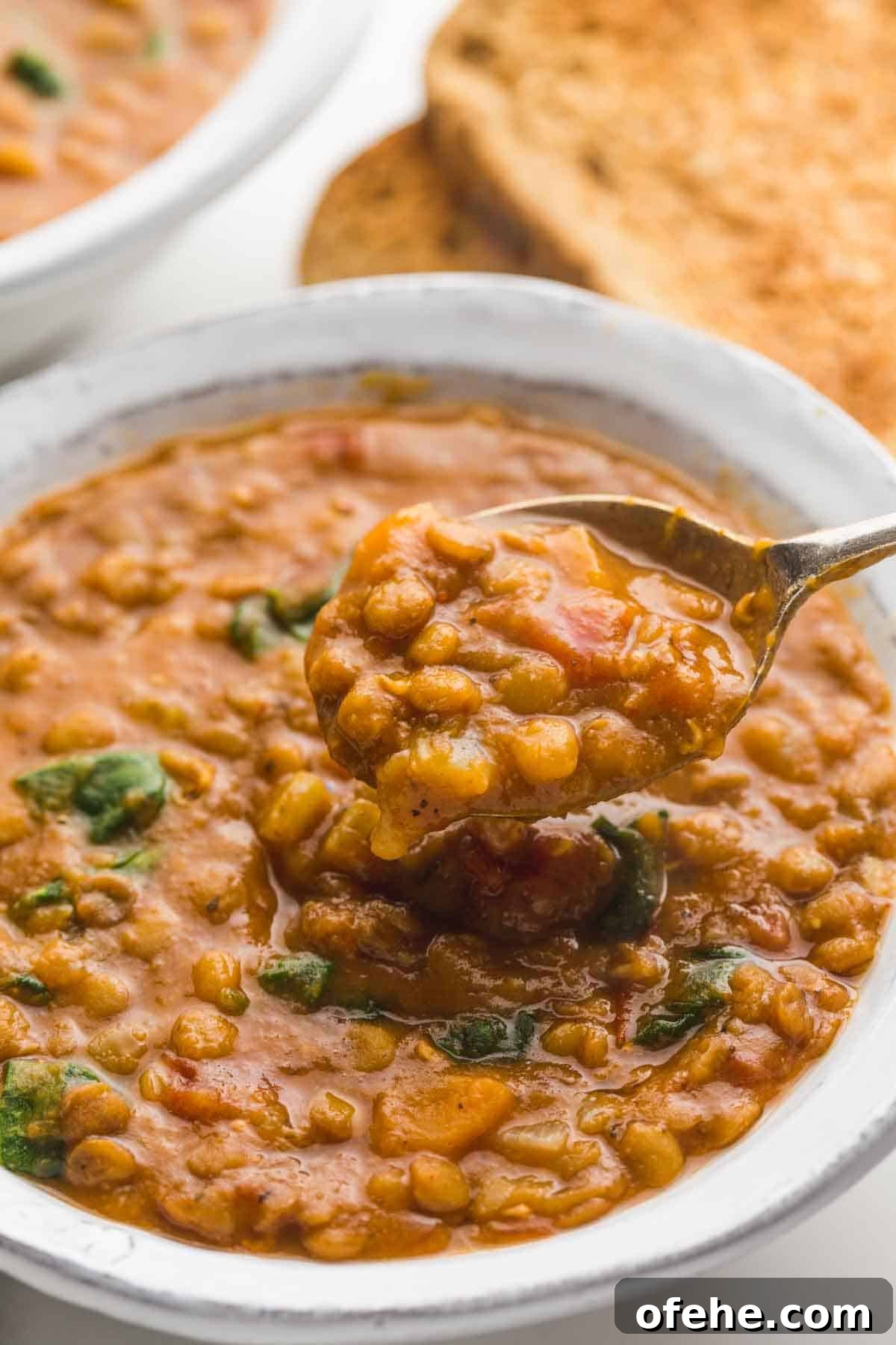 Instant Pot Lentil Soup Recipe: Hearty Weeknight One-Pot Meal 2 A close up of a spoon filled with mouthwatering Instant Pot Lentil Soup