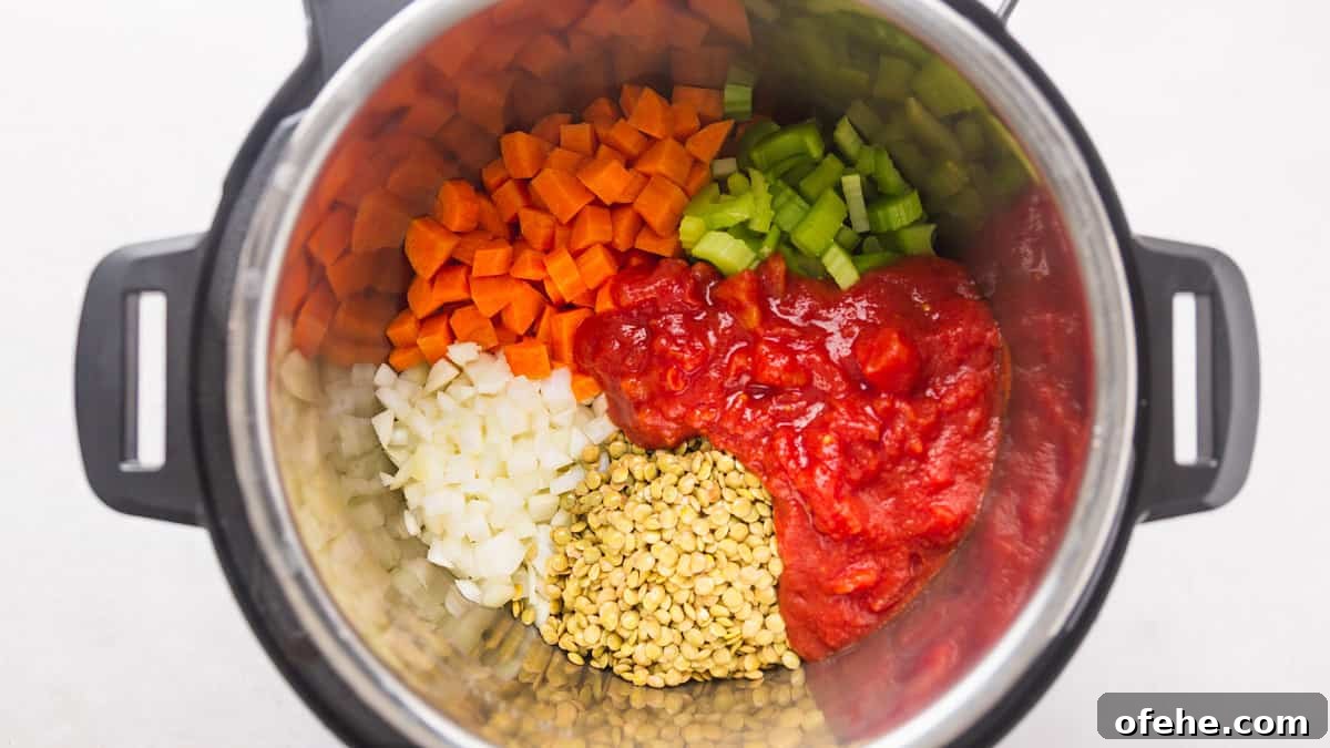 Instant Pot Lentil Soup Recipe: Hearty Weeknight One-Pot Meal 4 Ingredients added to the Instant Pot for the Lentil Soup