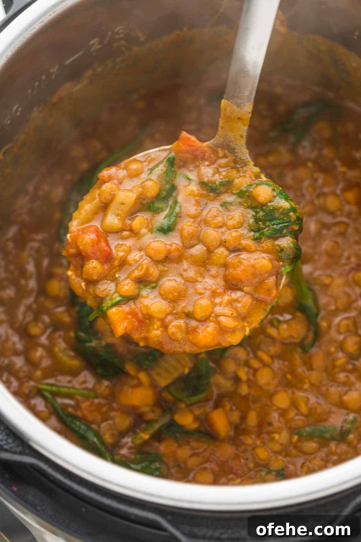 Instant Pot Lentil Soup Recipe: Hearty Weeknight One-Pot Meal 5 Creamy texture of Instant Pot Lentil Soup