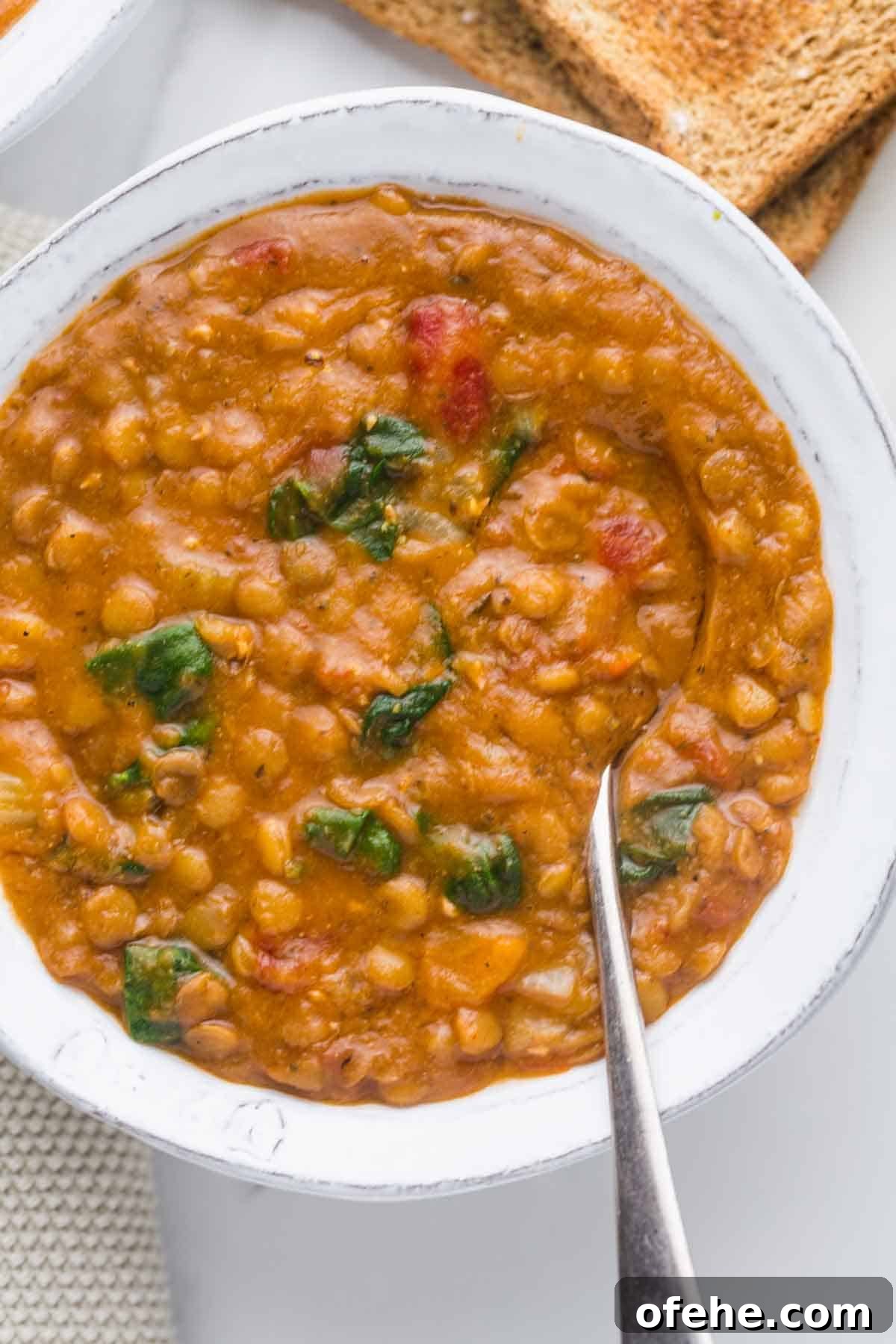 Instant Pot Lentil Soup Recipe: Hearty Weeknight One-Pot Meal 6 A bowl of rich and comforting Lentil Soup