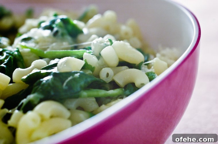 Elbow Macaroni with Comté Cheese and Baby Spinach