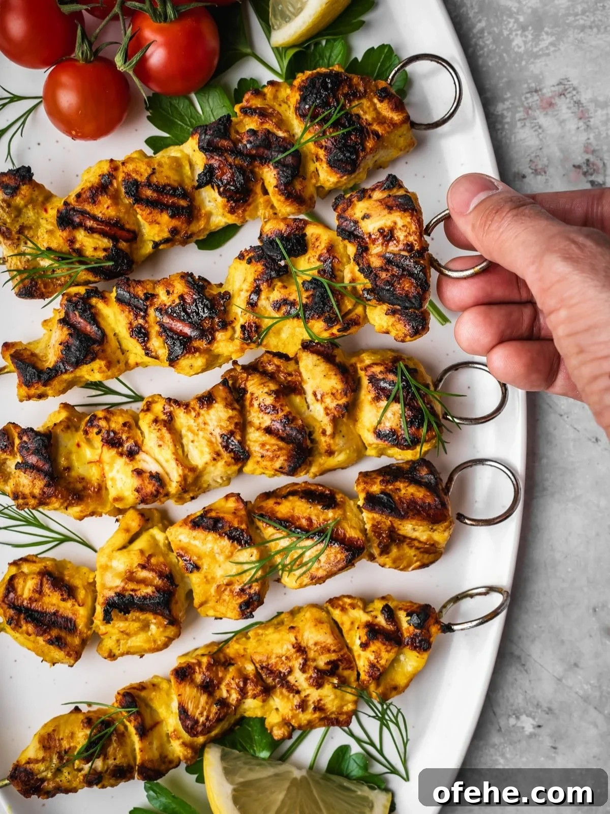 Persian Saffron Joojeh Kabob Recipe — Grilled Chicken Kabab 2 Grilled Joojeh Kabob chicken skewers with a golden, charred exterior are arranged on a white platter, garnished with fresh dill. Cherry tomatoes and a lemon wedge are in the background, and a hand holds one skewer.