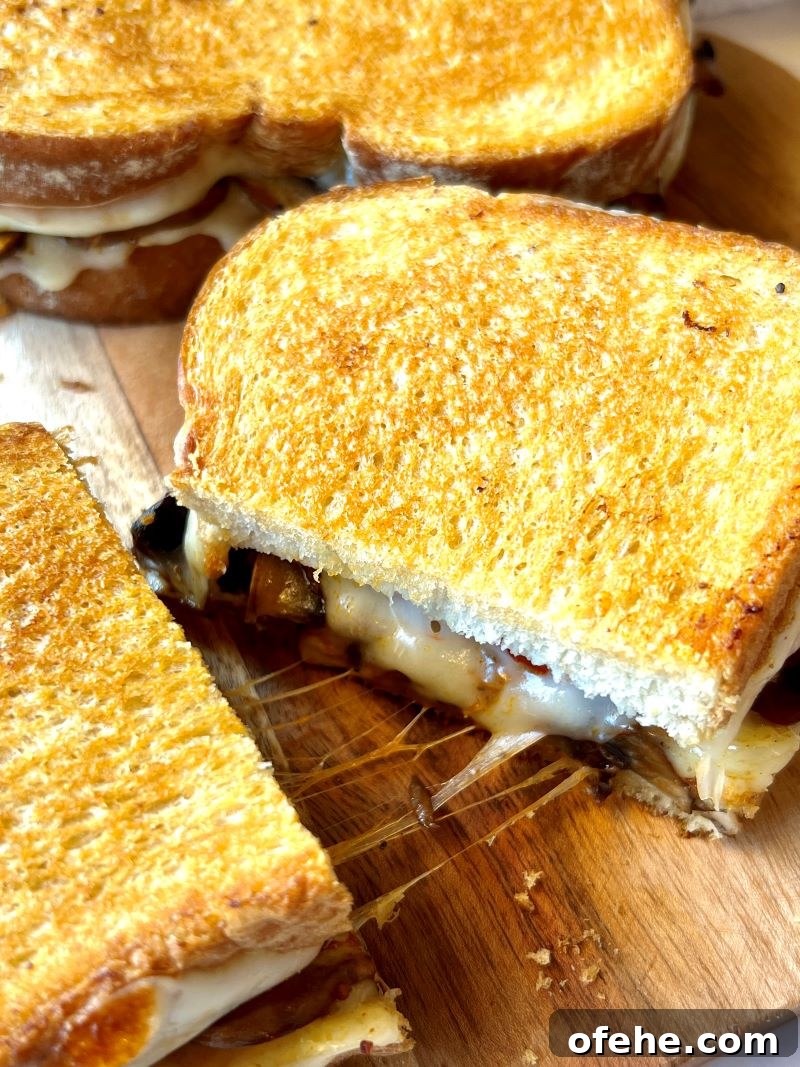 Savory Mushroom and Melted Cheese Grilled Sandwich 13 img 15319 12