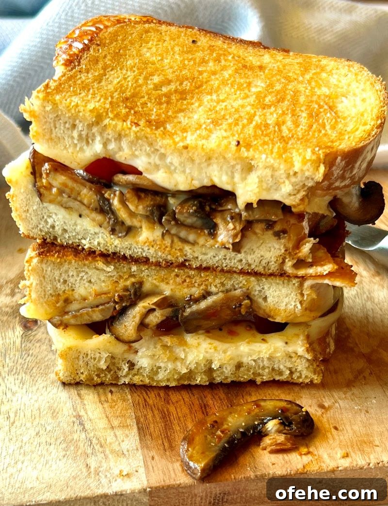 Savory Mushroom and Melted Cheese Grilled Sandwich 15 img 15319 14