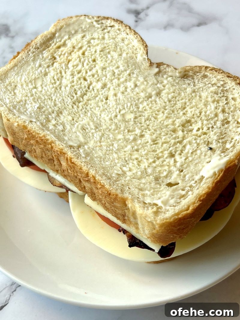 Savory Mushroom and Melted Cheese Grilled Sandwich 10 Sourdough bread slice layered with cheese, mushrooms, tomato slices, more cheese, topped with another bread slice.