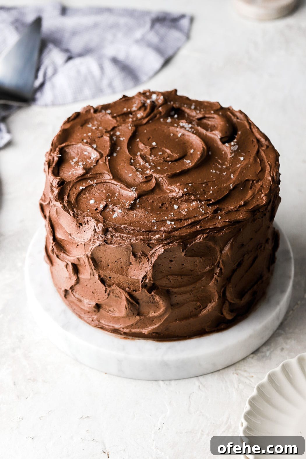 Decadent 8-Inch Chocolate Cake Recipe for Any Occasion 14 cake frosted with chocolate buttercream