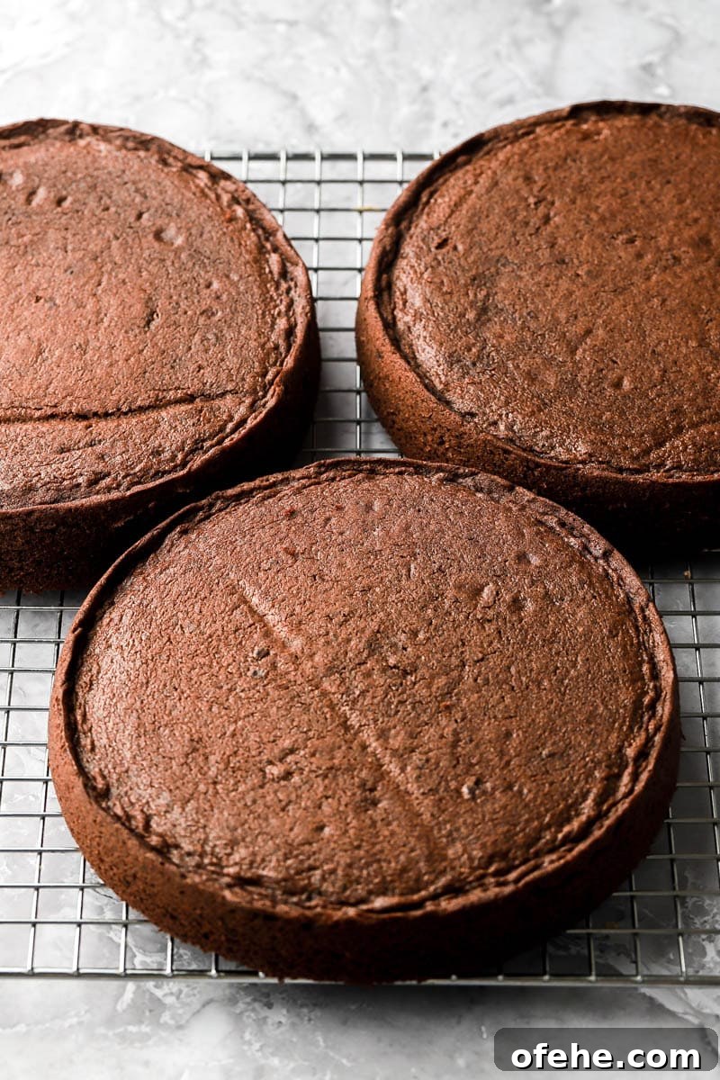 Decadent 8-Inch Chocolate Cake Recipe for Any Occasion 9 baked chocolate cakes cooling on a rack