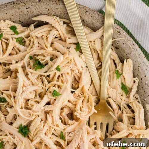 Slow Cooker Shredded Chicken Recipe for Tender, Juicy Meat 9 Close up image of Slow Cooker Shredded Chicken served and garnished with fork inside