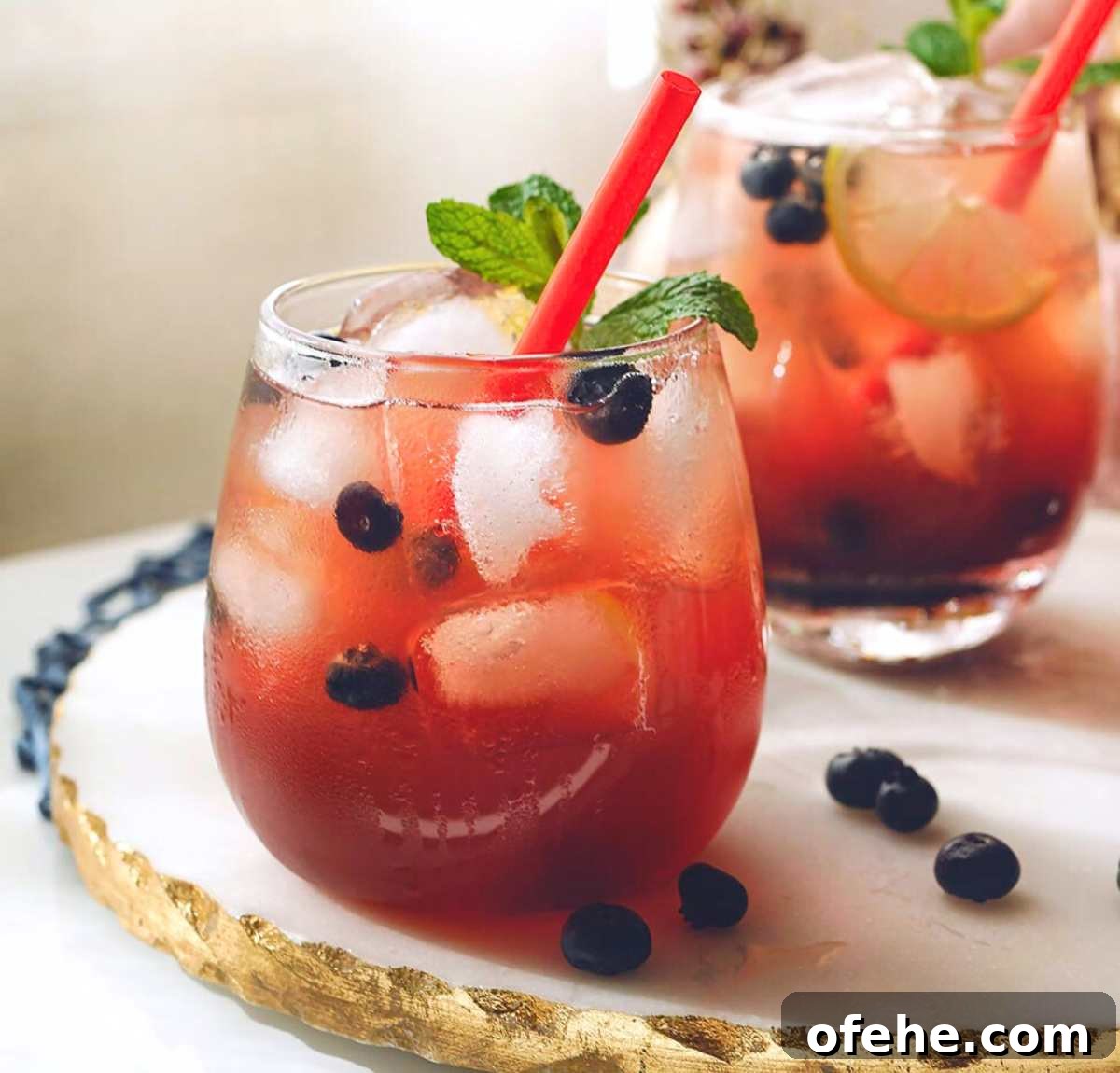 Fresh Orange Lemonade: 4-Ingredient Summer Orangeade Recipe 8 elderberry lemonade featured image