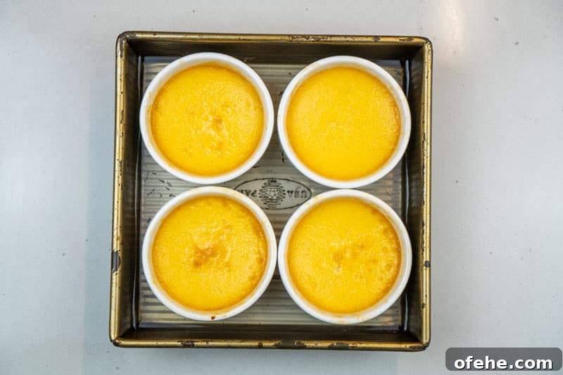 Silky Vanilla Custard Recipe Without Cornstarch 7 Baked custard