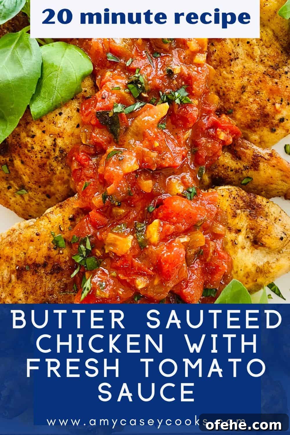 Butter-Sautéed Chicken Breast with Tomato, Wine & Basil Sauce 11 sauteed chicken breast with fresh tomato sauce