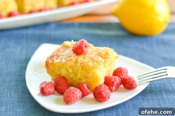 Lemon Olive Oil Cake Recipe: Moist Citrus Olive-Oil Bundt Cake 2 img 1712 3