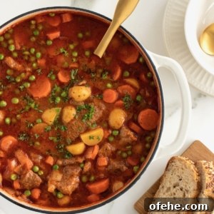 The Best Beef Stew by The BakerMama