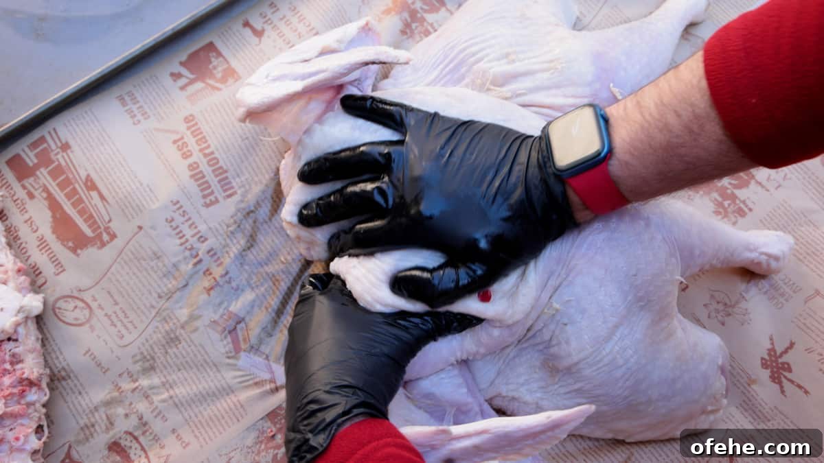 Sriracha-Glazed Smoked Spatchcock Turkey Recipe 5 Pushing down with palm of hand wearing black gloves on a spatchcock turkey to flatten for cooking.