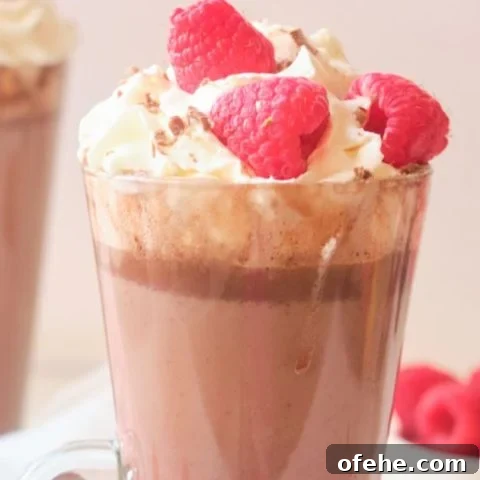 Image for Easy Milk Chocolate Raspberry Hot Cocoa Recipe
