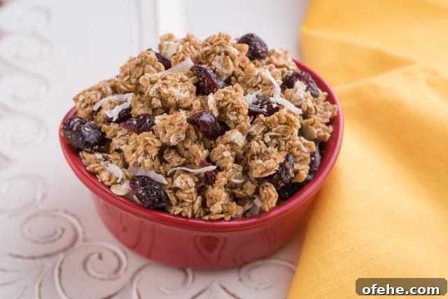 Cranberry Coconut Granola