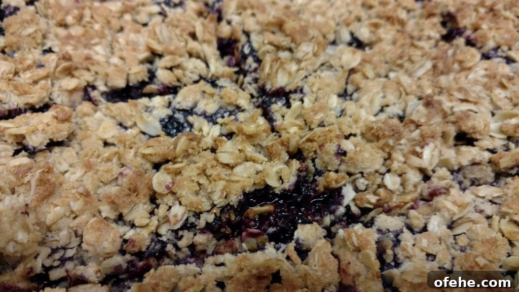 Blueberry Oat Bars
