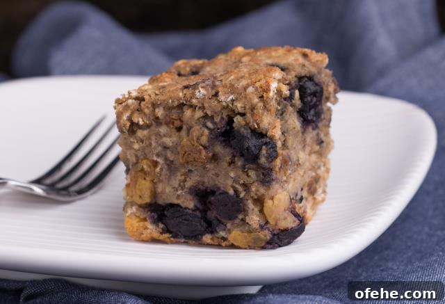 Oatmeal Muffin Squares
