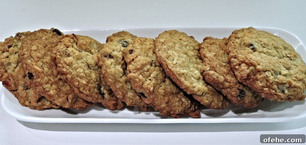 Oatmeal Raisin Cookies