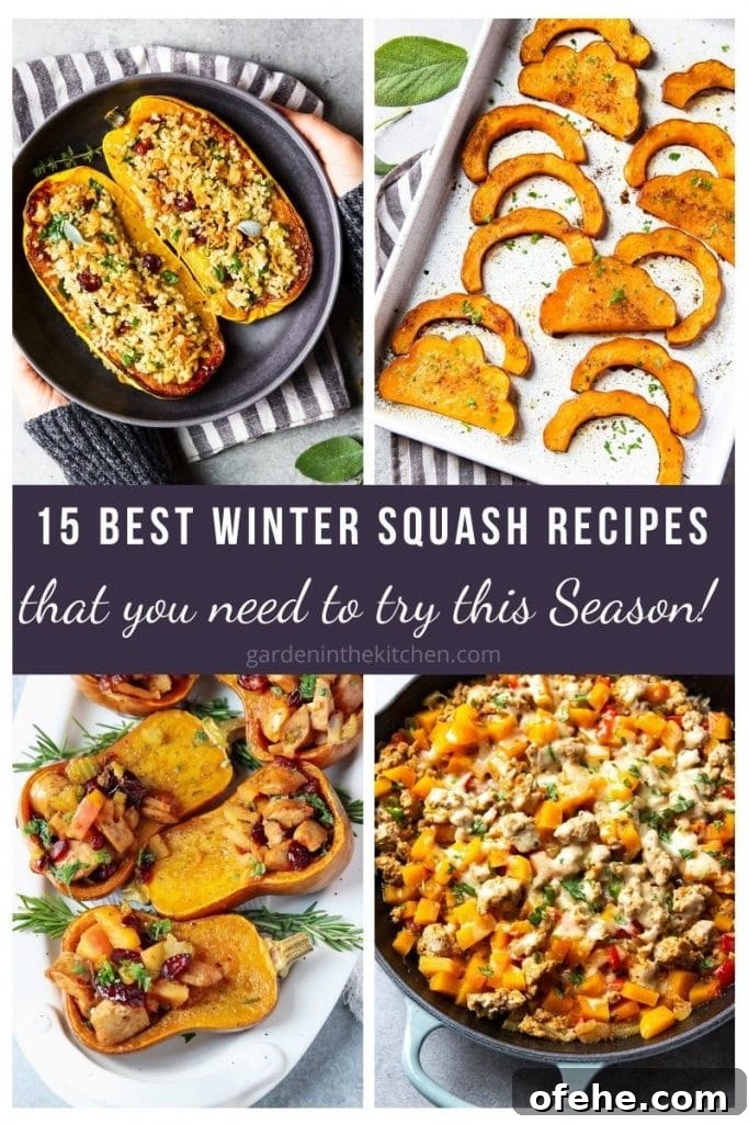 15 Flavorful Winter Squash Recipes to Try This Season 2 15 delicious winter squash recipes that you must try this season!