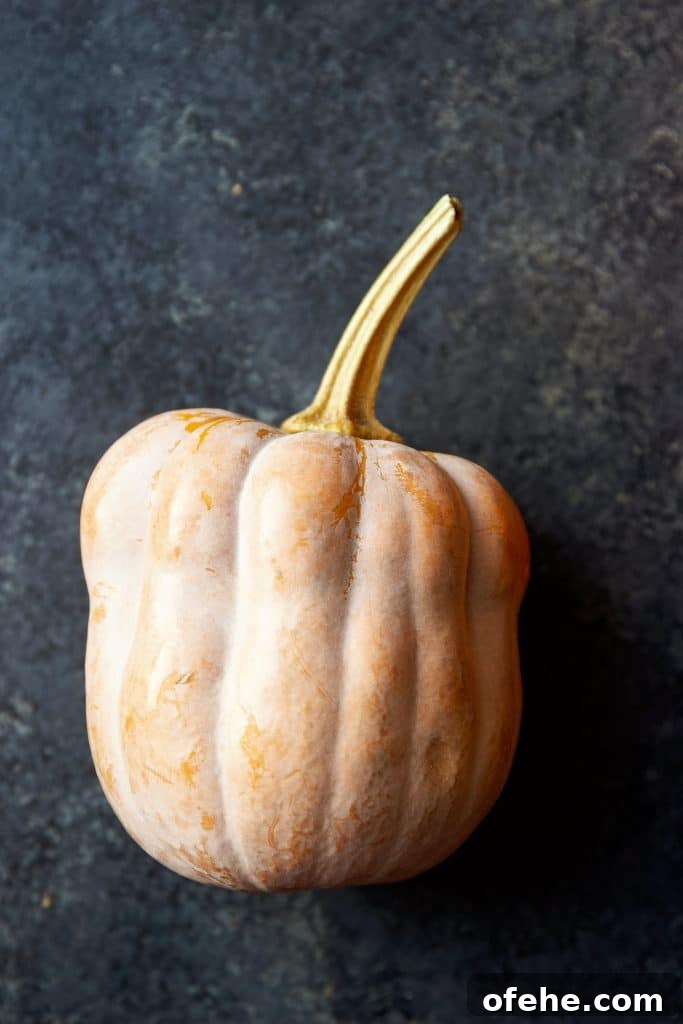 15 Flavorful Winter Squash Recipes to Try This Season 5 autumn frost squash