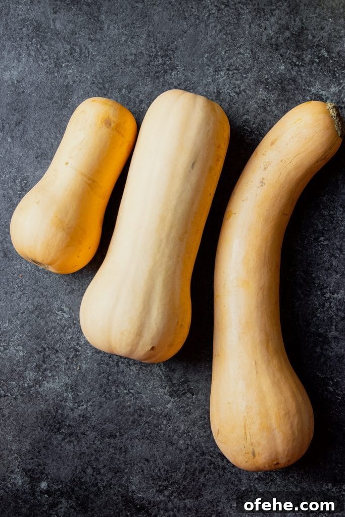 15 Flavorful Winter Squash Recipes to Try This Season 6 three butternut squash; small, medium and large