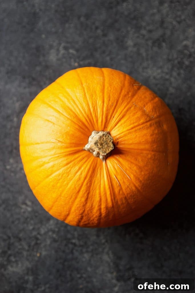 15 Flavorful Winter Squash Recipes to Try This Season 9 sugar pumpkin