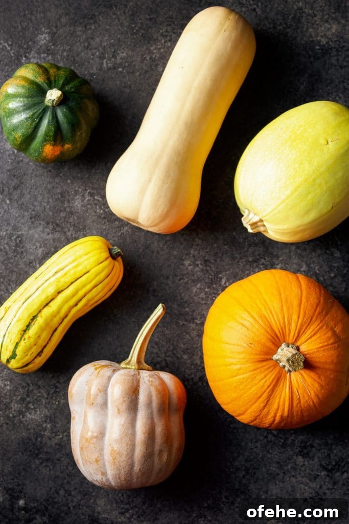 15 Flavorful Winter Squash Recipes to Try This Season 10 six winter squash varieties