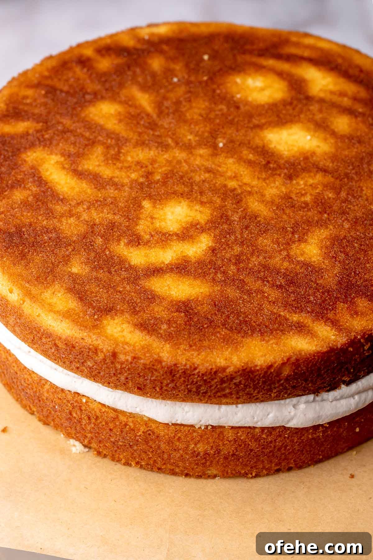 Raspberry Coconut Cake Recipe with Creamy Coconut Frosting 14 Two cake layers stacked on top of each other with frosting inside.