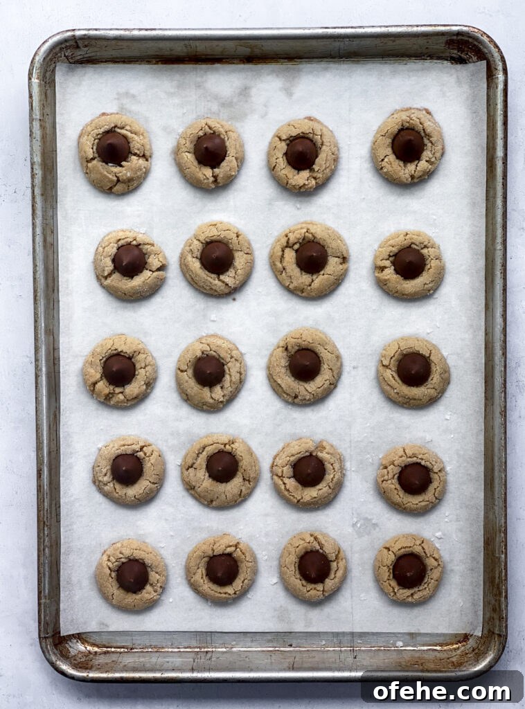 Classic Peanut Butter Blossom Cookies Recipe — Chewy & Chocolate-Topped 11 cookies ready to chill