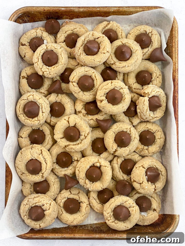 Classic Peanut Butter Blossom Cookies Recipe — Chewy & Chocolate-Topped 12 close up of layered peanut butter blossom cookies