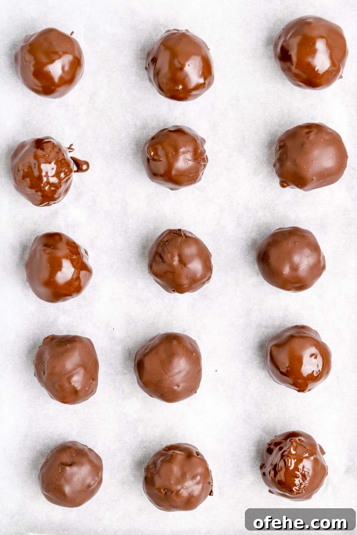 chocolate dipped 