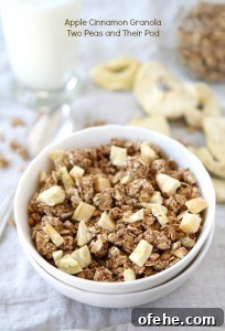 Apple Cinnamon Granola Apple Cinnamon Granola