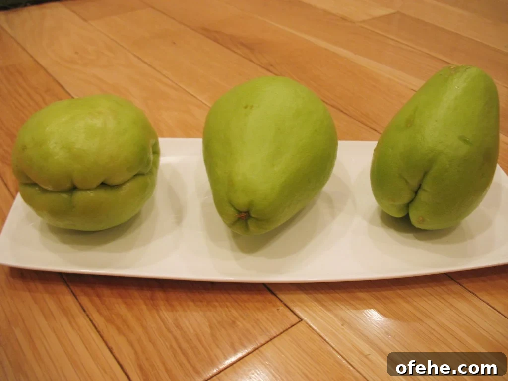 Discover Chayote Squash: Uses, Recipes, and Nutrition Guide 3 three chayote squash