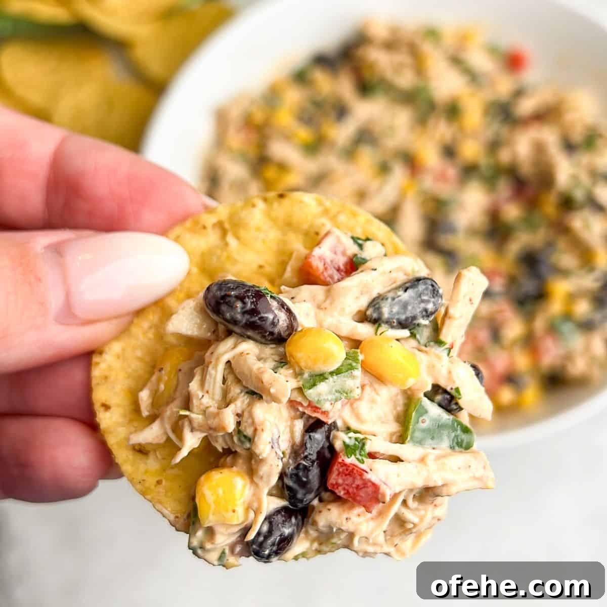 Southwest chicken salad with creamy chipotle-lime dressing. A hand holding a tortilla chip with Southwest chicken salad