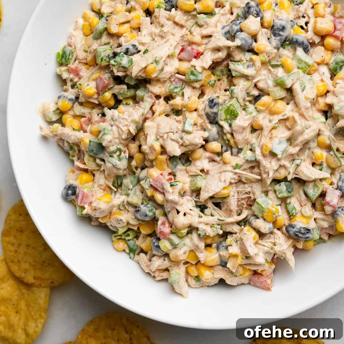 Southwest chicken salad in a bowl with tortilla chips. Southwest chicken salad in a bowl with tortilla chips