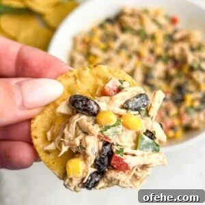 Zesty Southwest Chicken Salad Recipe with Avocado and Corn 2 A hand holding a tortilla chip with Southwest chicken salad