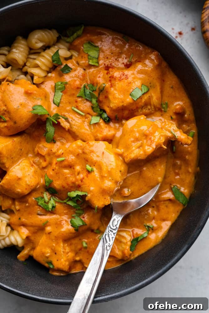 Top view of chicken paprikash in a bowl with a silver spoon.