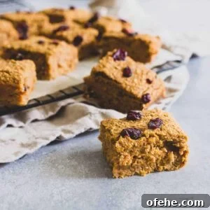 Sweet Potato Oat Bars Recipe with Warm Cinnamon and Maple 2 img 21117 7