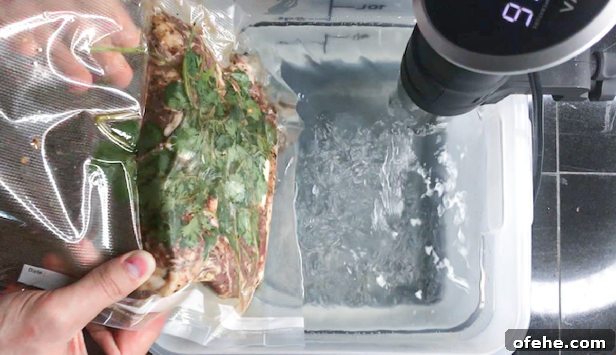 anova with sous vide ny strip steaks marinated with cilantro