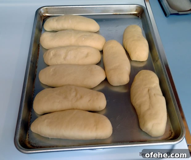 Homemade Hot Dog Buns Made in a Bread Machine 5 Hot Dog buns in baking pan
