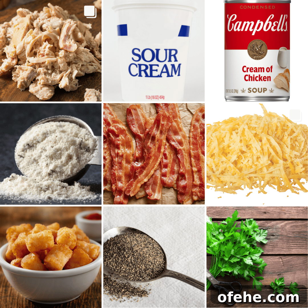 ingredients including rotisserie chicken, sour cream, ranch seasoning, bacon, cheese, and tater tots. 